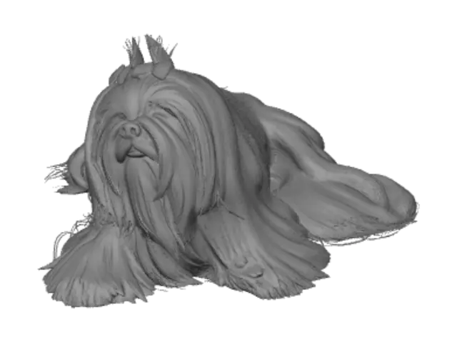 3D model for Topknot on the Couch