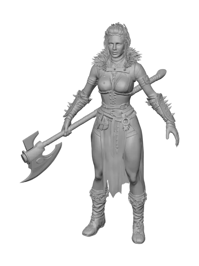 3D model for Valkyrie of the Veil