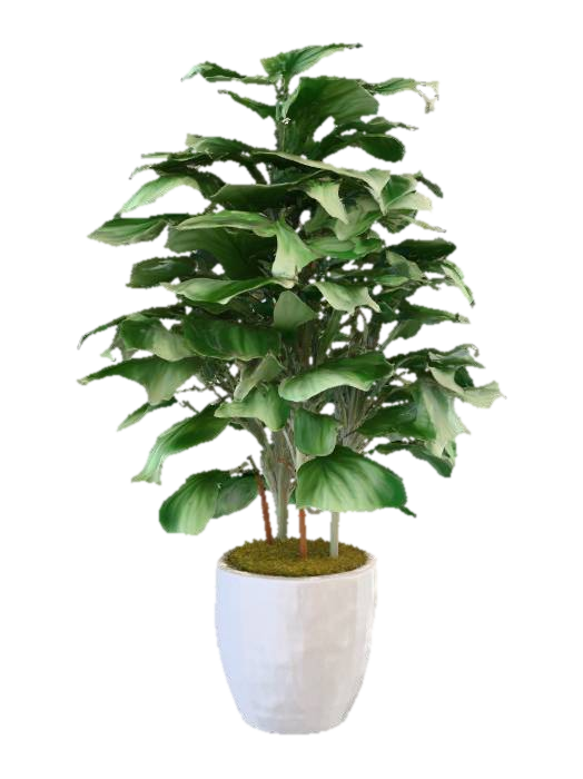 Green Serenity 3D model, vytvořený pomocí AI