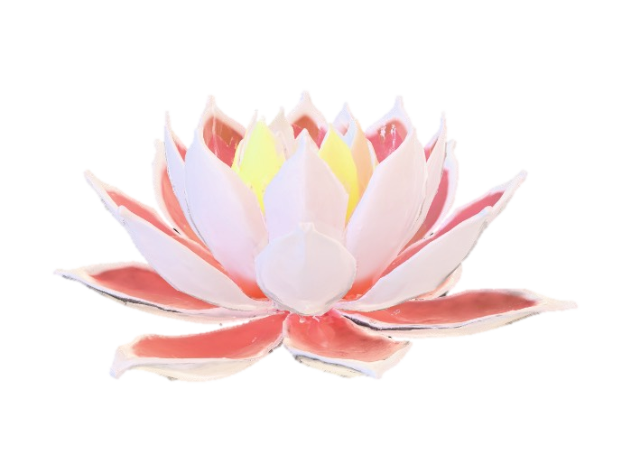 3D model for “Mythic radiant lotus, floating petals emitting golden light, detailed but stylized, smooth cartoon shapes, magical sci-fi look, emissive texture, low-poly base, perfect for Roblox lab rarity plant.”