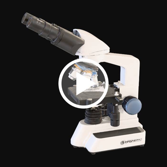 Compound Microscope Model Making
