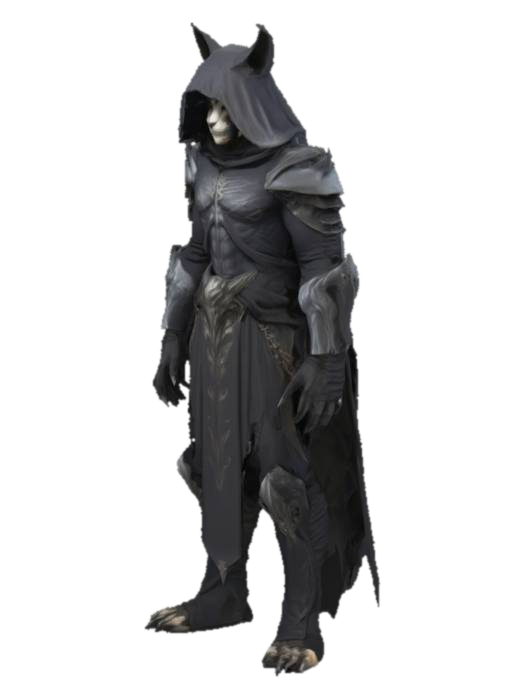 3D model for Un personnage humanoïde, mi-homme mi-chat, avec une capuche de faucheuse , dans un style fantasy