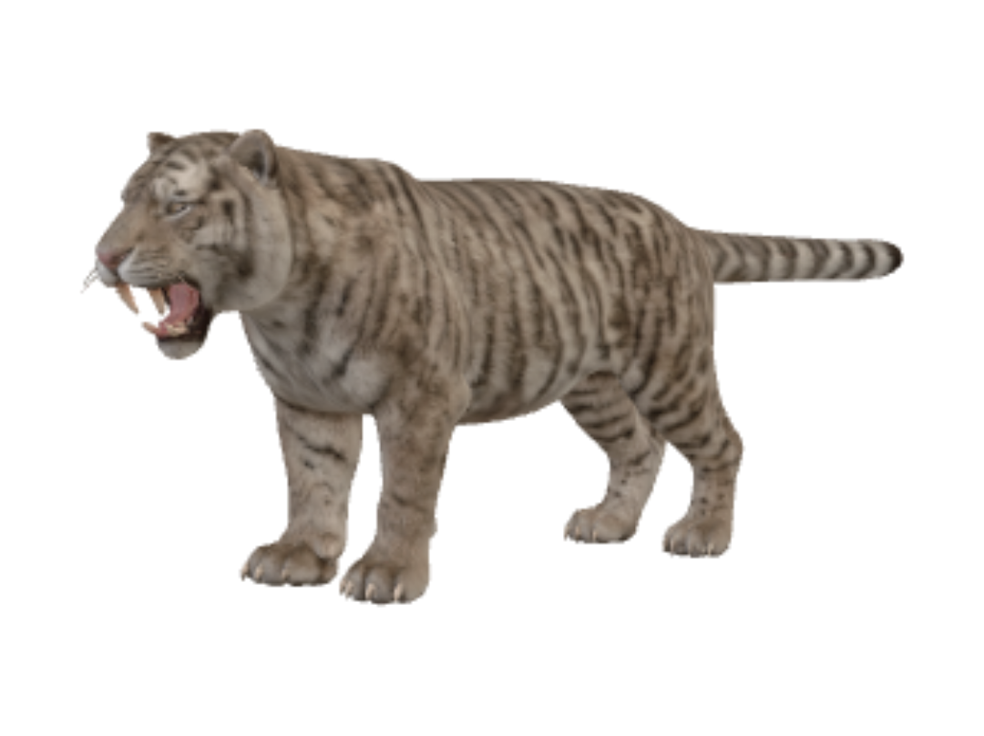 Wireframe Predator 3D model, vytvořený pomocí AI