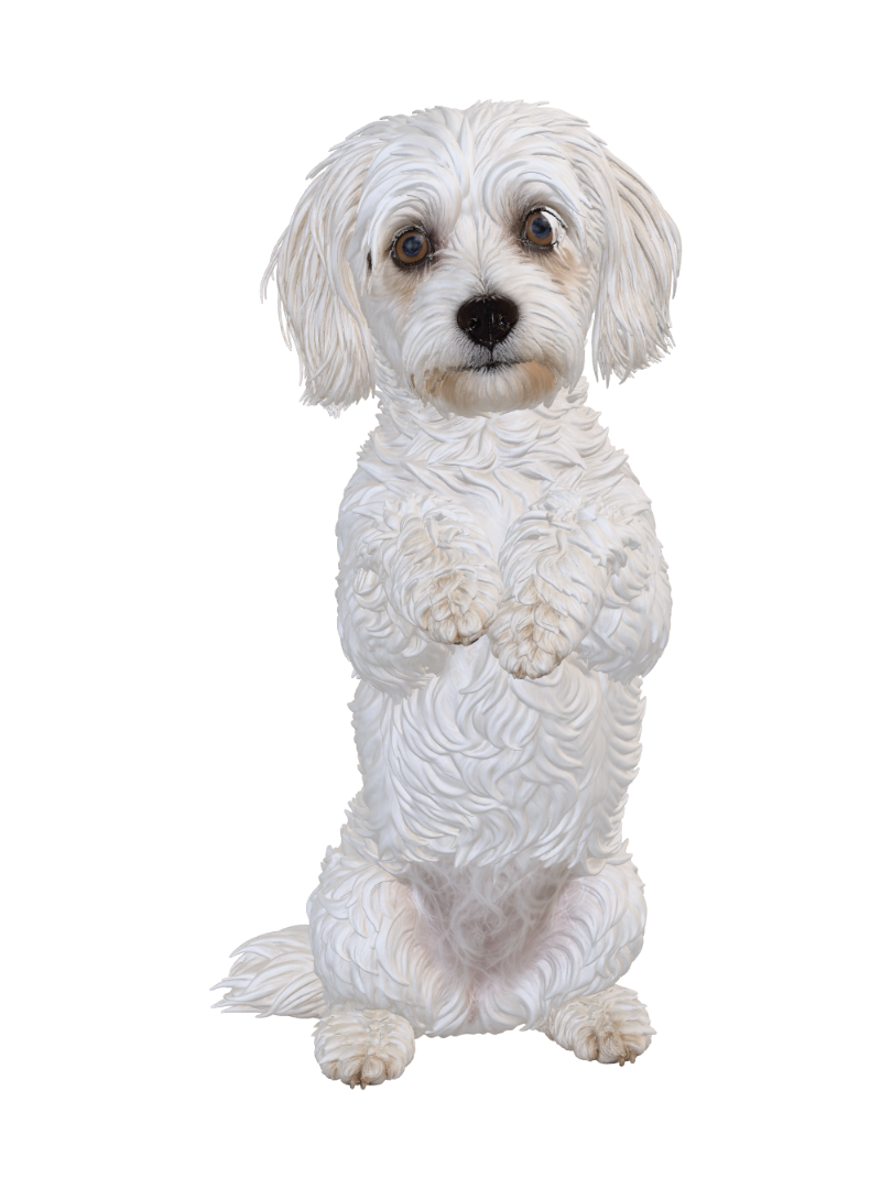 My Rotindawg 3D model, vytvořený pomocí AI