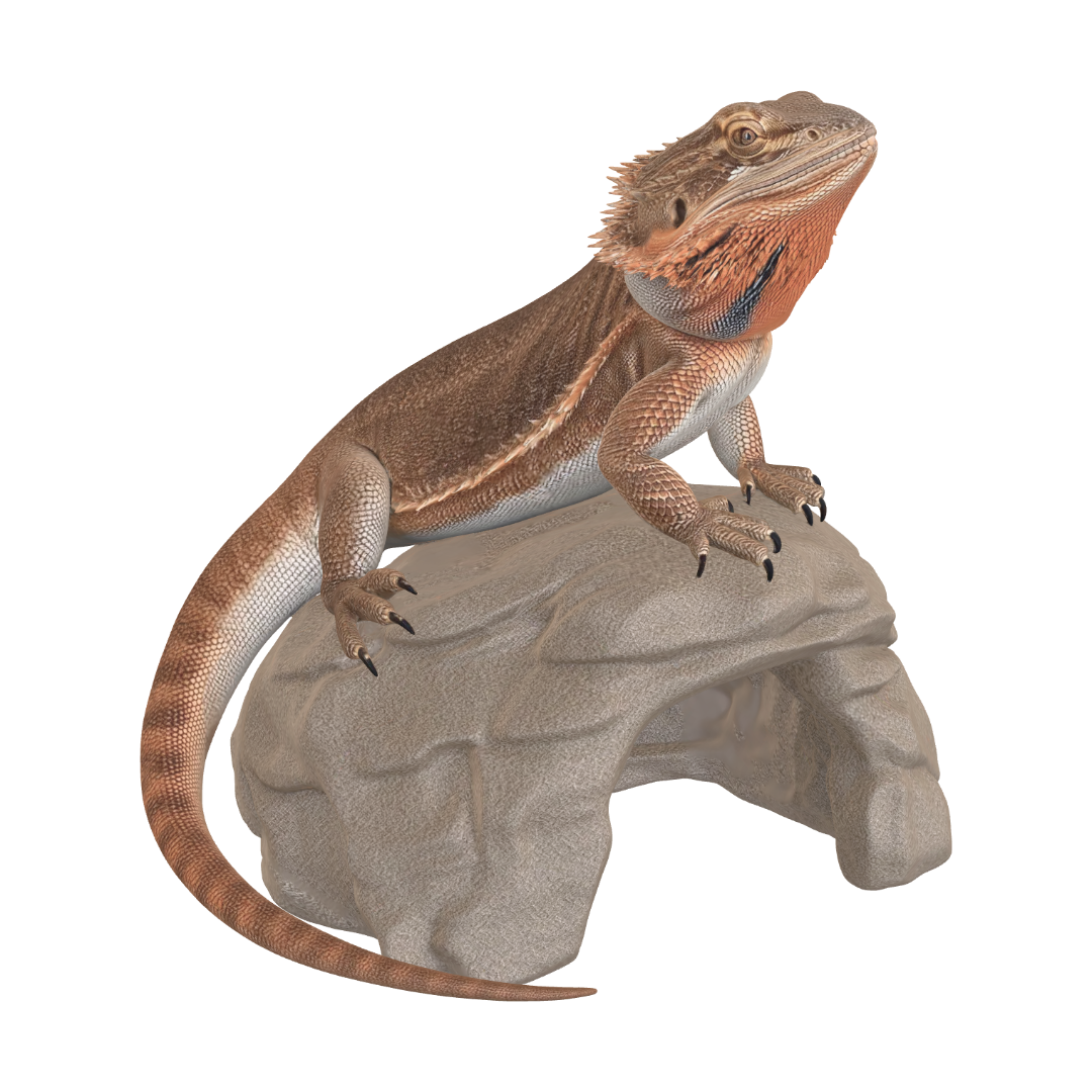 Peety Wink 3D model, vytvořený pomocí AI