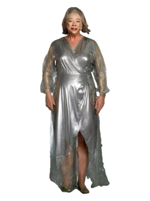 fried green tomatoes cellophane dress Kathy Bates” saran-wrap… – Download Free 3D Model Ladies Plus Size