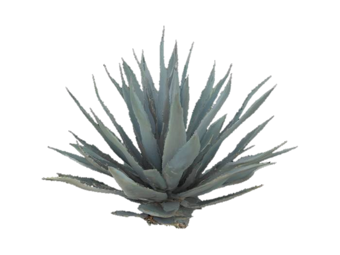 0197f172-9a15-7c7d-8c4b-