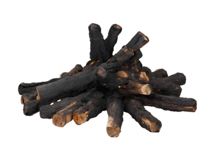 3D model for a pile of burnt wood