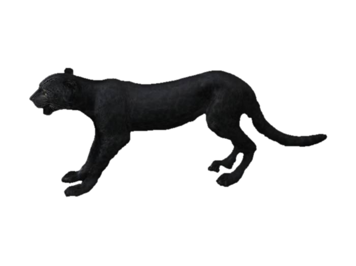 Model 3D Cheetah Stroll, dijana oleh AI