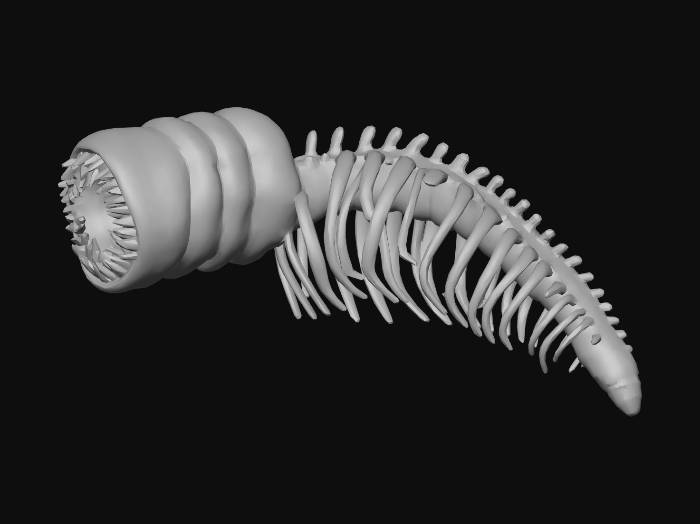 Sandworm Drawing Rference