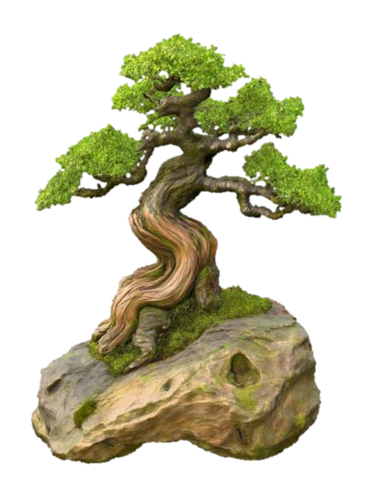 Free Bonsai 3D Models - Download Instantly | Meshy