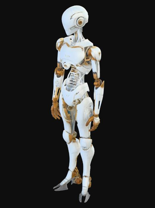 Robotic Shell