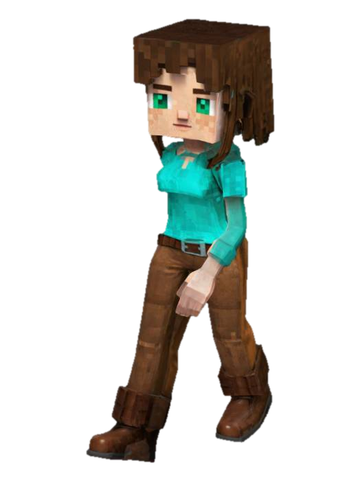 Minecraft Irl Model