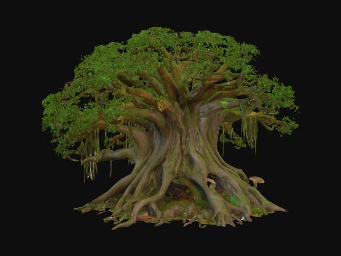 "A massive, ancient tree with a wide, gnarled trunk covered in thick ...
