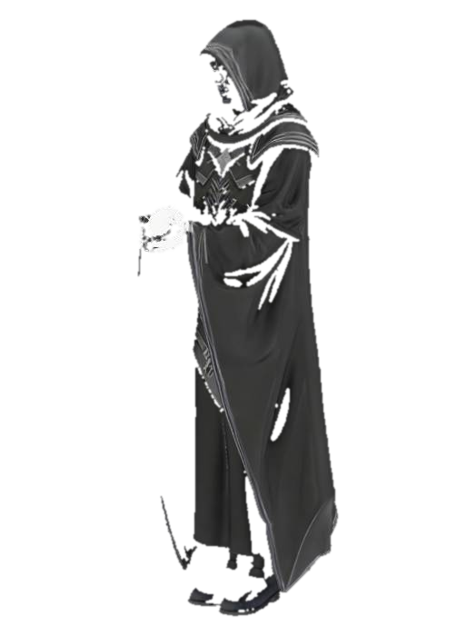 a tall hooded character, shadow dark face with illuminated white eyes, long black robes with intricate… AI 생성 3D 모델