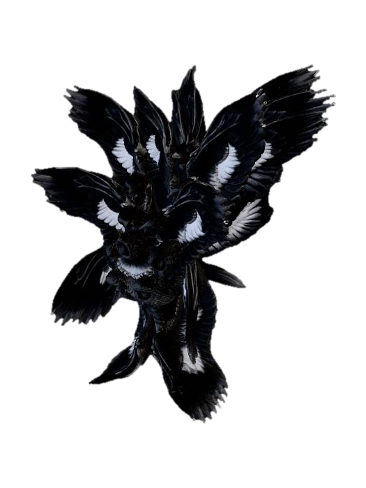 3D model for Winged Symmetry