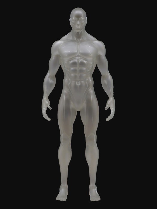 "The object is a highly detailed digital 3D model of a muscular male ...