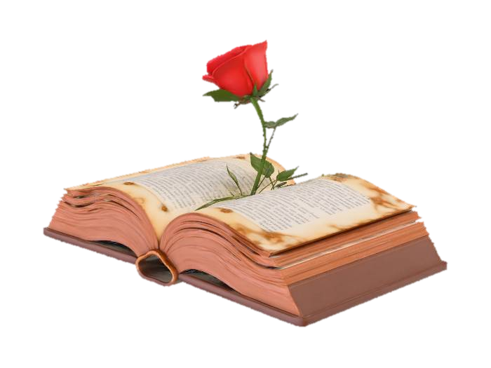 3D model for quiero un libro antiguo abierto plano, sobre una mesa con una rosa de tallo largo y hojas sobre las paginas