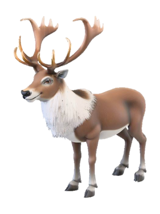 3D model for A majestic, realistic reindeer standing calmly, its robust body covered in thick, coarse brown and grey fur with a soft white underbelly. It features large, bony antlers with a rugged texture, sharp points, and a wide span. Its muzzle is dark and leathery, and its slender legs end in hard, cloven hooves, conveying strength and a gentle, alert expression.