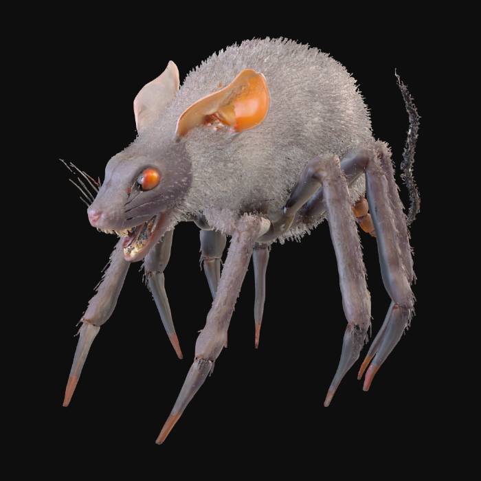 Lab Rats Giant Spider