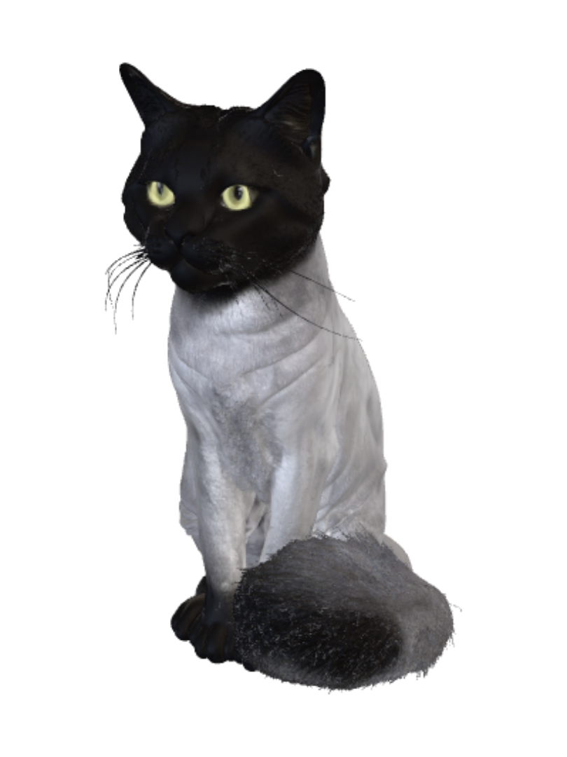 3D model for Shadow in a Silver Coat