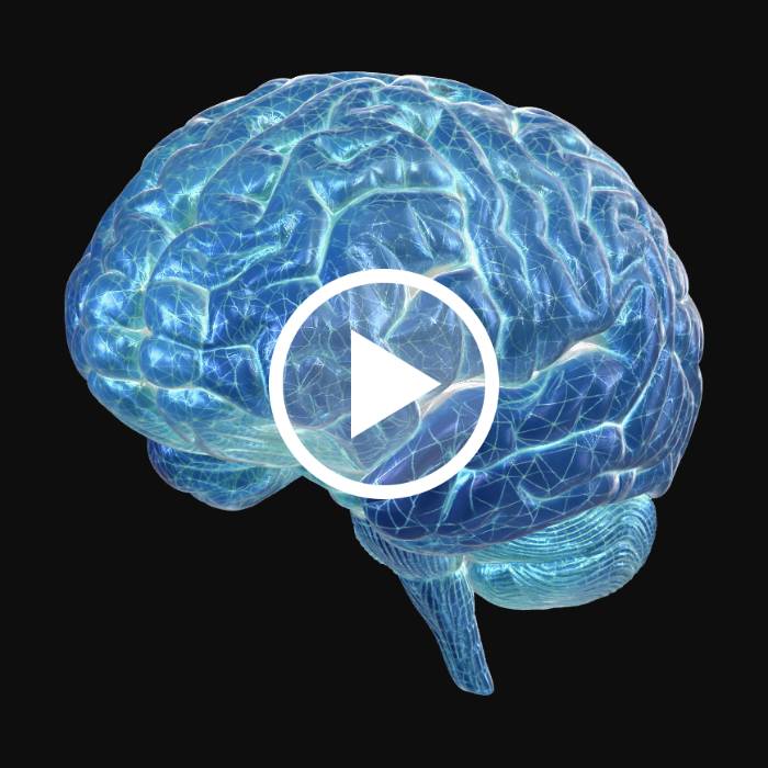 Brain Subtle Overlay