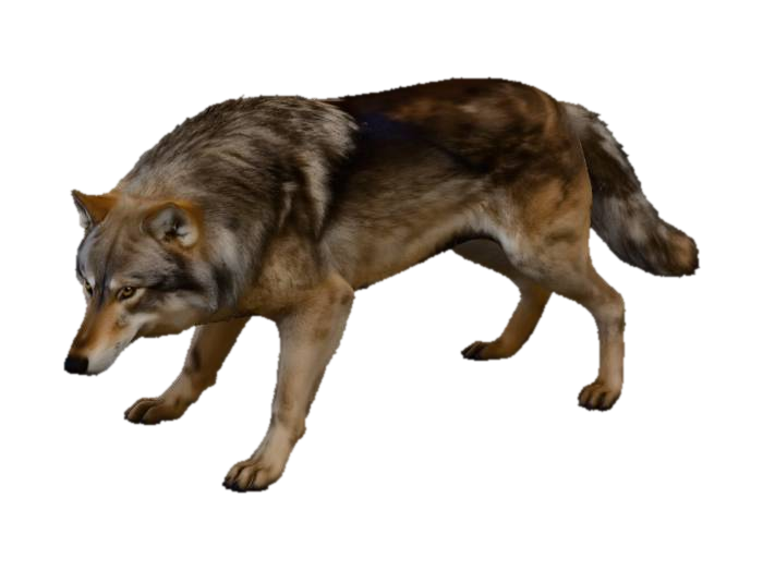 3D model for Guardian of the Den