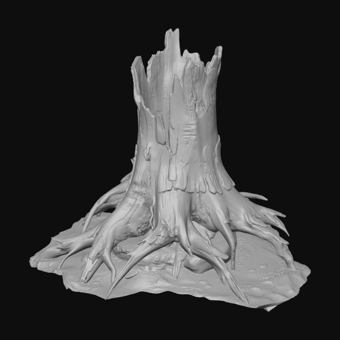 "A massive ancient tree trunk, hollowed and broken at the top, with ...
