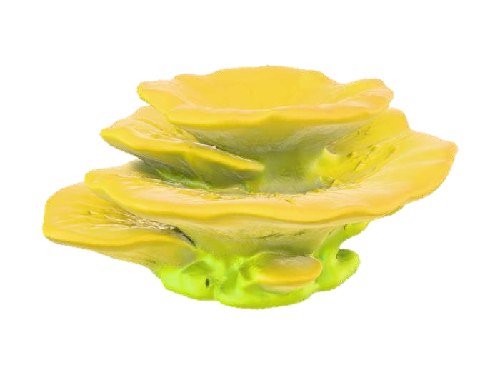 Yellow Coral Formation 3D model, vytvořený pomocí AI