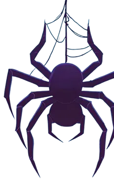 spider